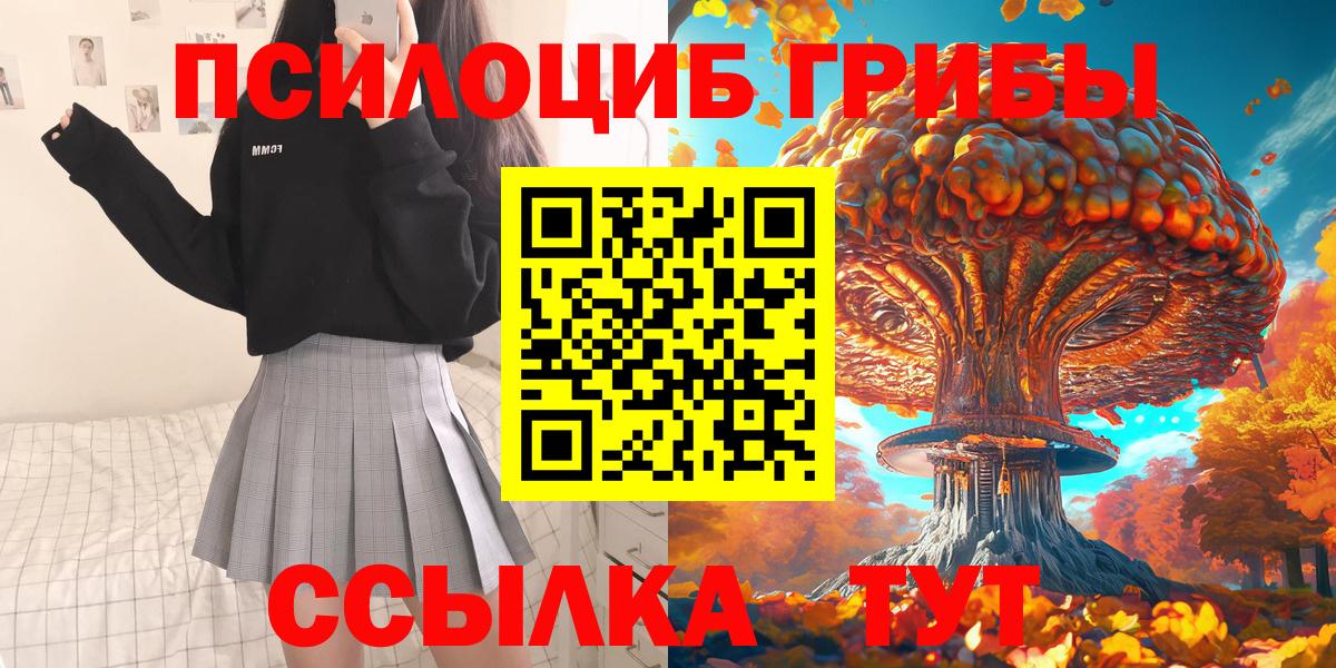 Псилоцибиновые грибы Cubensis Кудрово