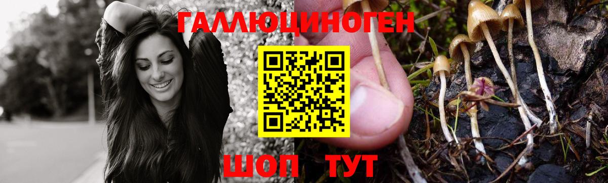 Галлюциногенные грибы мицелий  Вход с VPN  Кудрово 