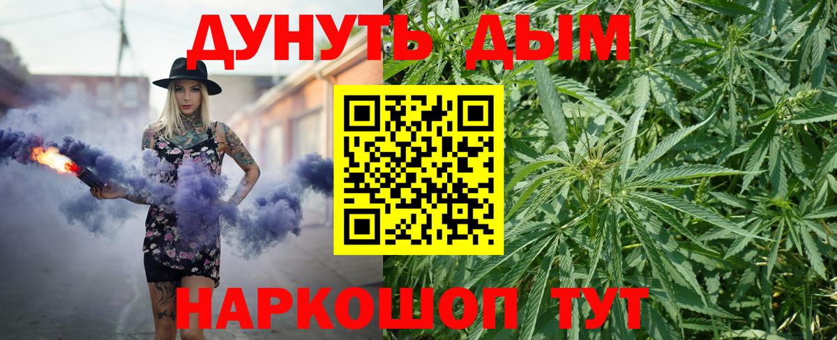 Канабис конопля Кудрово